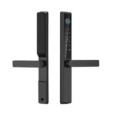 Qleung Waterproof Digital Door Lock Tuya TTlock APP Framed Glass Password Card Fingerprint S960 Smart Door Lock
