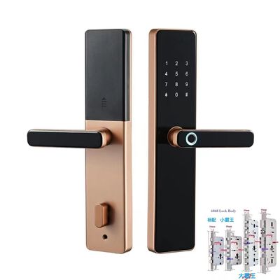6068 Mortise TTlock Wifi Tuya Zamek drzwiowy z odciskiem palca i hasłem