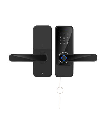 S810 Inteligentny zamek odcisków palców Wi-Fi Simple Door Lock Tuya Fingerprint TTlock Smart Home Door Lock
