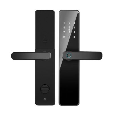 Qleung S819 Aluminium Door Fingerprint WiFi Enabled Tuya TTlock With Password Key Card dla domu