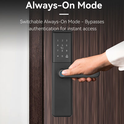 Qleung S851 Tuya Smart Door Lock z chmurnym przechowywaniem danych, cylinderem zamkowym klasy B i siecią Wi-Fi